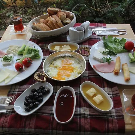 Hotel Ada Antik